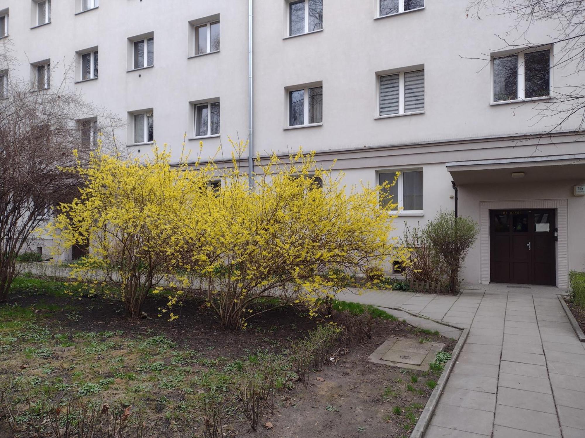 Cracowapart Ignacio A Krakov Exteriér fotografie